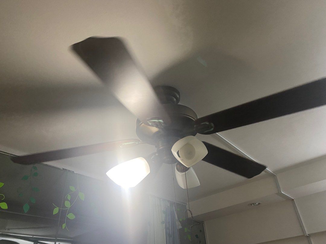 Ceiling Fan with lights, Furniture & Home Living, Lighting & Fans, Fans on Carousell