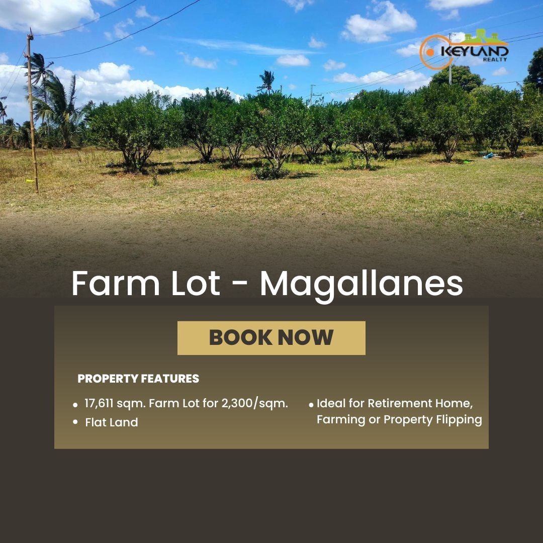 Farm land 1.7 hectare in Caluangan Magallanes Cavite, Property, For