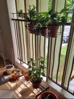 (Category: ) located in . Submitted by salarabi (Listing ID 1218734592, Image 1). Description: .