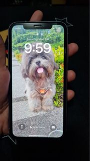 (Category: ) located in . Submitted by mntyvb (Listing ID 1218573508, Image 1). Description: .