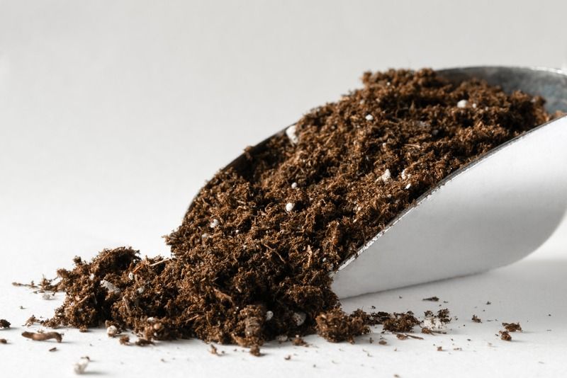 Potting Soil Mix 5L NOT Garden Soil, Furniture & Home Living