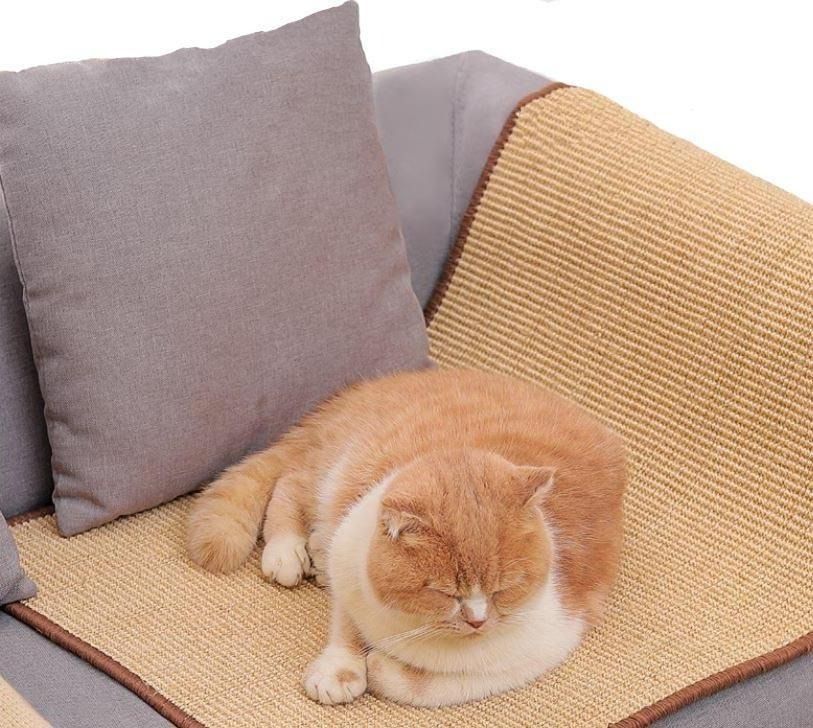Cat scratching store food mat