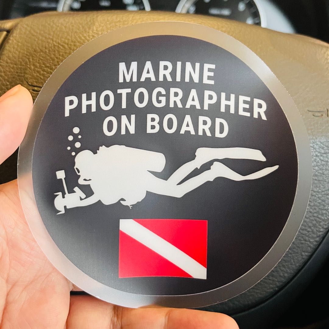 Scuba Diving / Marine Photographer on Board. Static Cling Car Decals ...