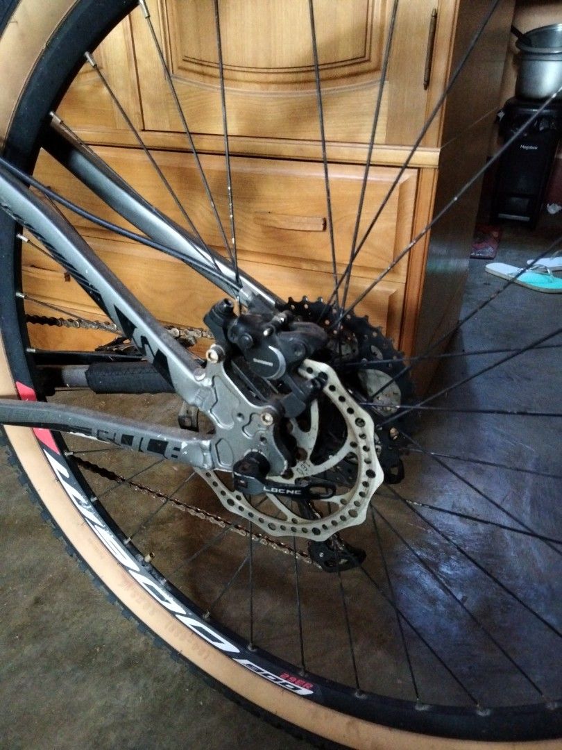 Sunspeed 29er, Sports Equipment, Bicycles & Parts, Bicycles on Carousell