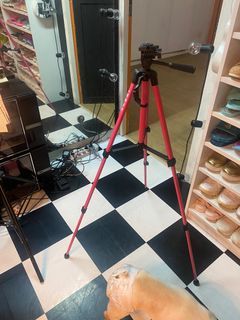 Tripod camera hp pink