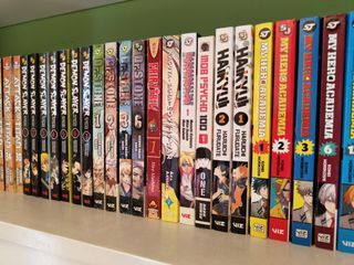 Various manga books: Demon Slayer, My Hero Academia, One Piece, Naruto and more