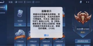 王者荣耀/和平精英/任何中国游戏实名认证（永久使用）