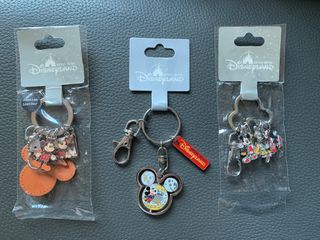 香港迪士尼樂園鎖匙扣 Hong Kong Disneyland key chain(可以全新Chip n Dale 徽章交換）