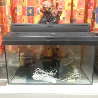 (Category: ) located in . Submitted by adilah143 (Listing ID 1218921144, Image 1). Description: .