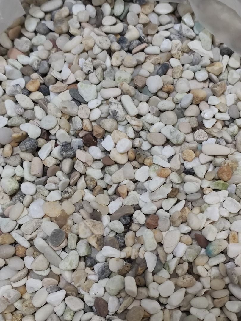 Aquarium gravel, Pet Supplies, Homes & Other Pet Accessories on Carousell