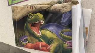 Dinosaur decorations