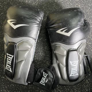 Everlast Isoplate Boxing Gloves (12 Oz)