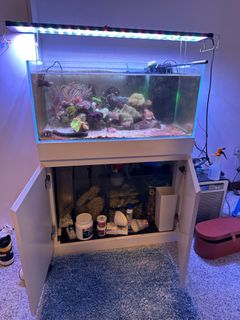 (Category: ) located in . Submitted by minicooperss (Listing ID 1218793825, Image 1). Description: .