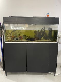 Free 4ft Fish Tank & ALL accessories