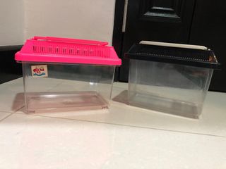 (Category: ) located in . Submitted by ellen_7227 (Listing ID 1218889751, Image 1). Description: .