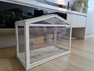 (Category: ) located in . Submitted by lkyong (Listing ID 1218763749, Image 1). Description: .