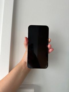 iPhone 13 Pro Max 256GB (Silver)