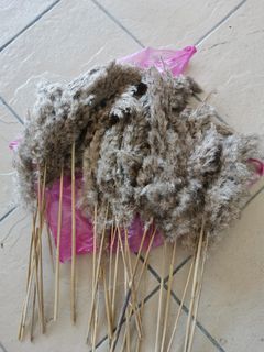 Mini pampas