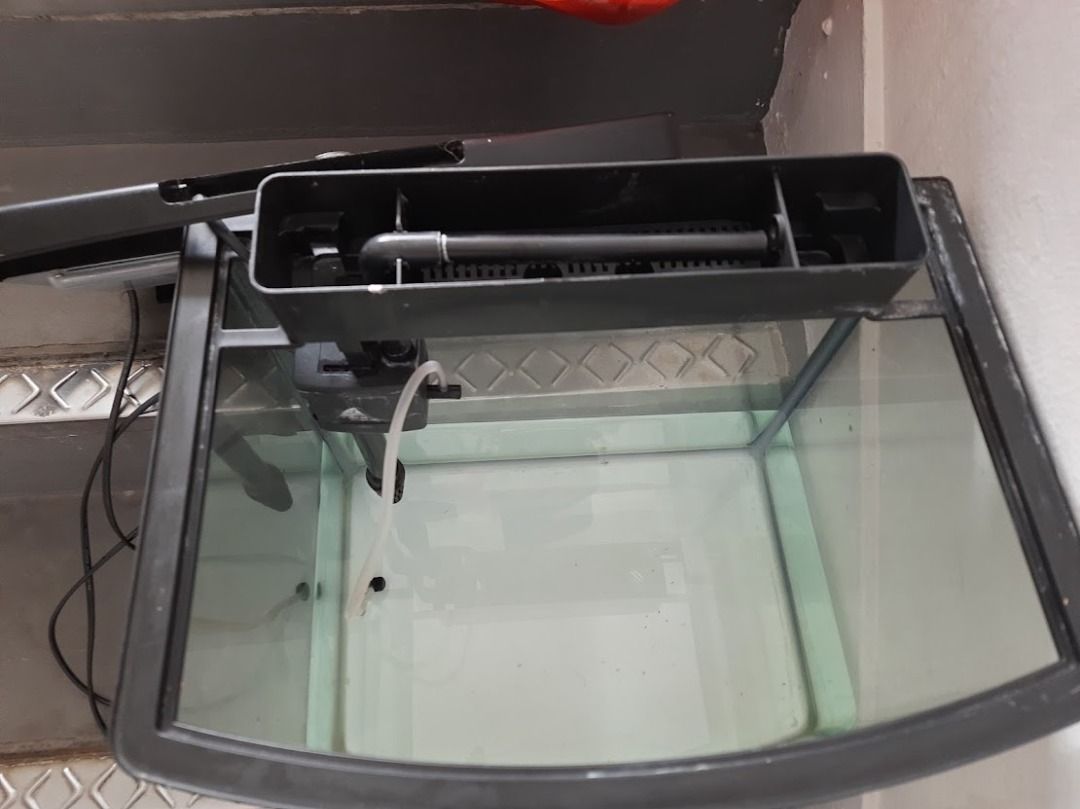 quality Curved Fish tank with Pump & Lights all working , good ...