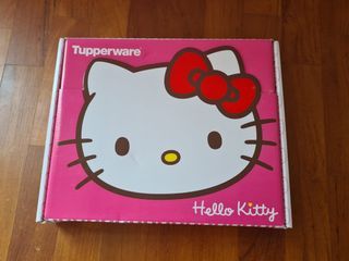 https://media.karousell.com/media/photos/products/2023/3/5/tupperware_hello_kitty_plate_1678015509_666d0b05_progressive_thumbnail.jpg