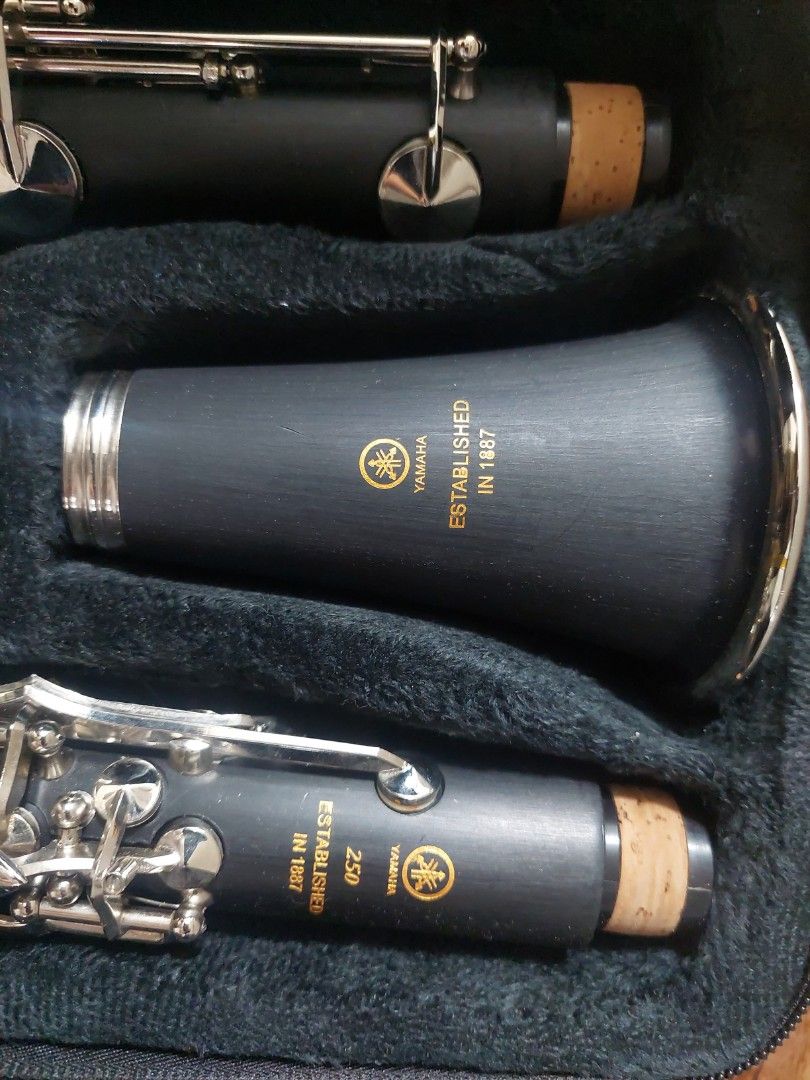 YAMAHA YCL 250, 興趣及遊戲, 音樂樂器 & 配件, 樂器 Carousell