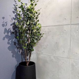 1.8m $138 | Pot $35 | Qxpress $10 | artificial plant local supplier | indoor | outdoor | home decor | decoration |