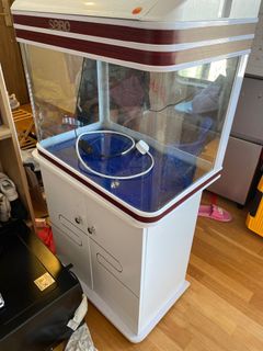 （分類：）位於 。 由 rainbow_computer_430 提交（商品編號 1218965990，圖片 1）。簡介： 。