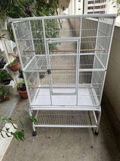 Bird cage for love birds