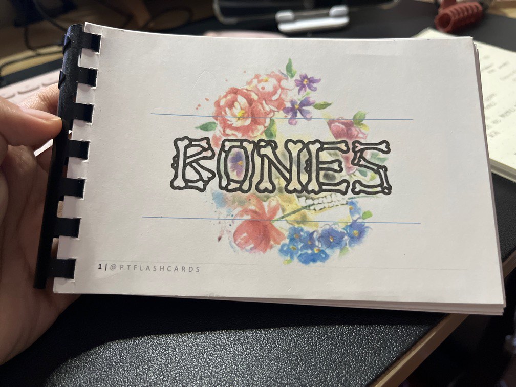 BONES FLASHCARDS, Hobbies &amp; Toys, Books &amp; Magazines, Textbooks on Carousell