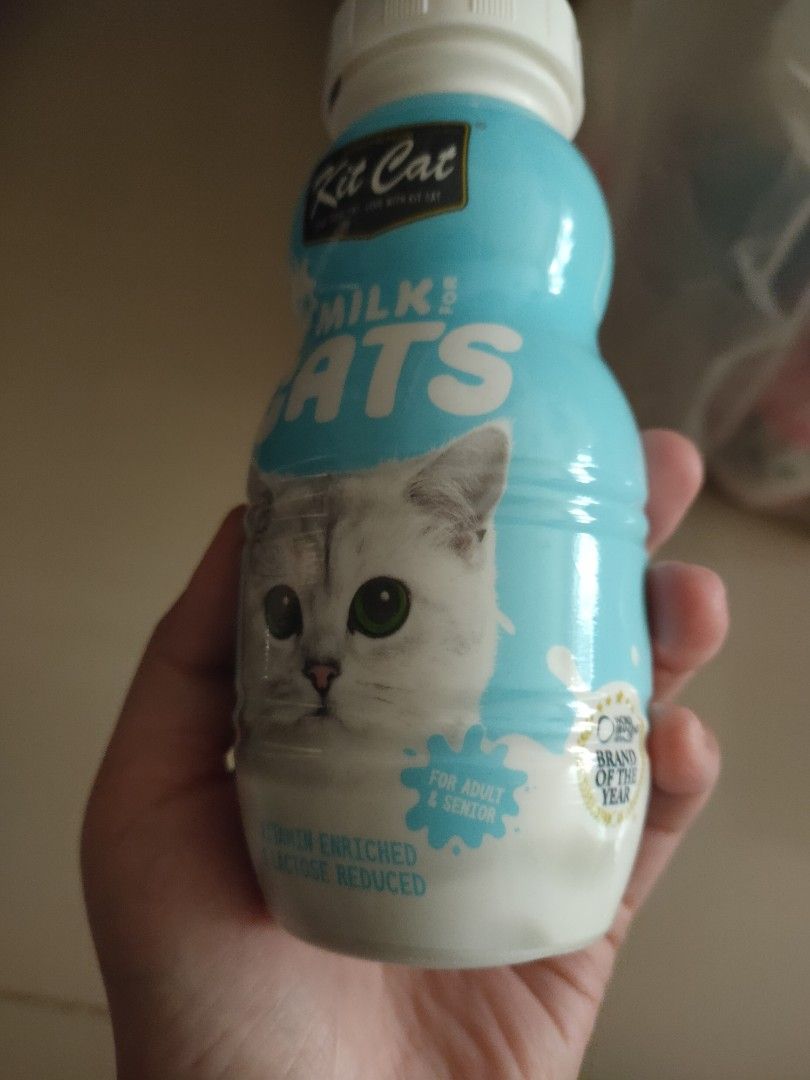 Cat Milk (expire 9 Mar 2023), Pet Supplies, Pet Food on Carousell