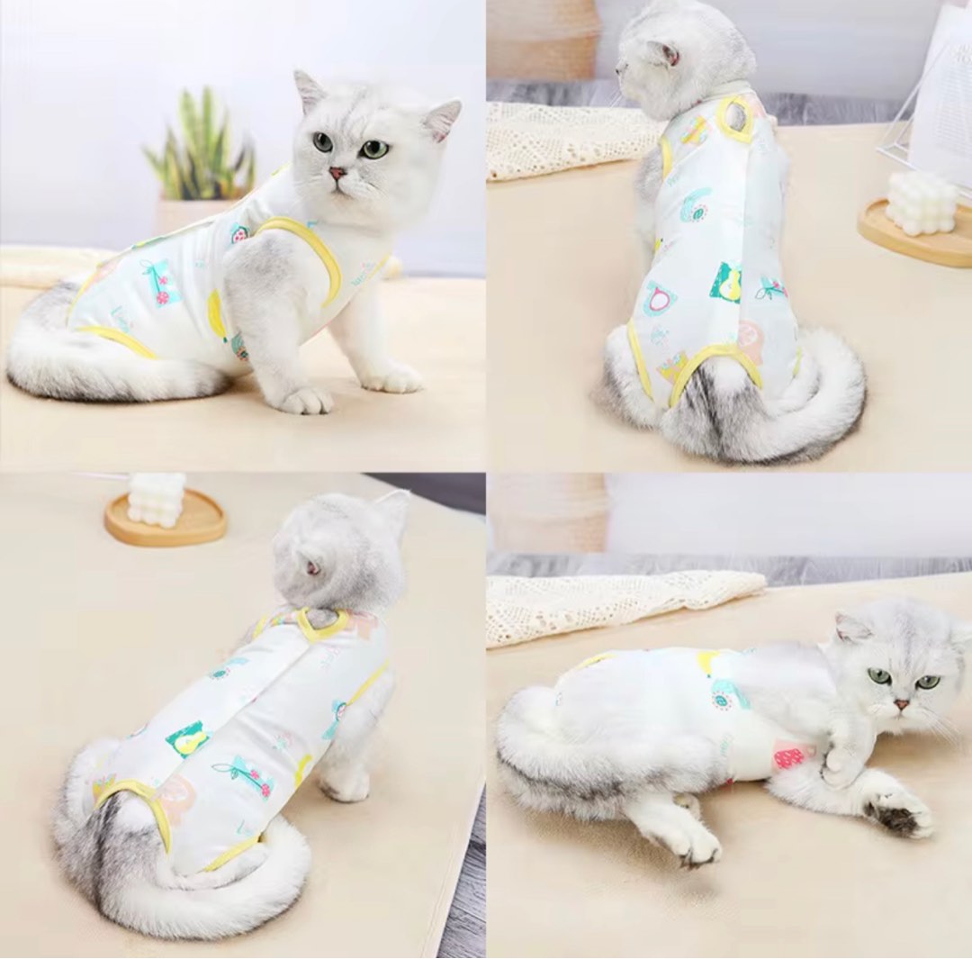 Cat Recovery/Spay/Surgery Suit on Carousell