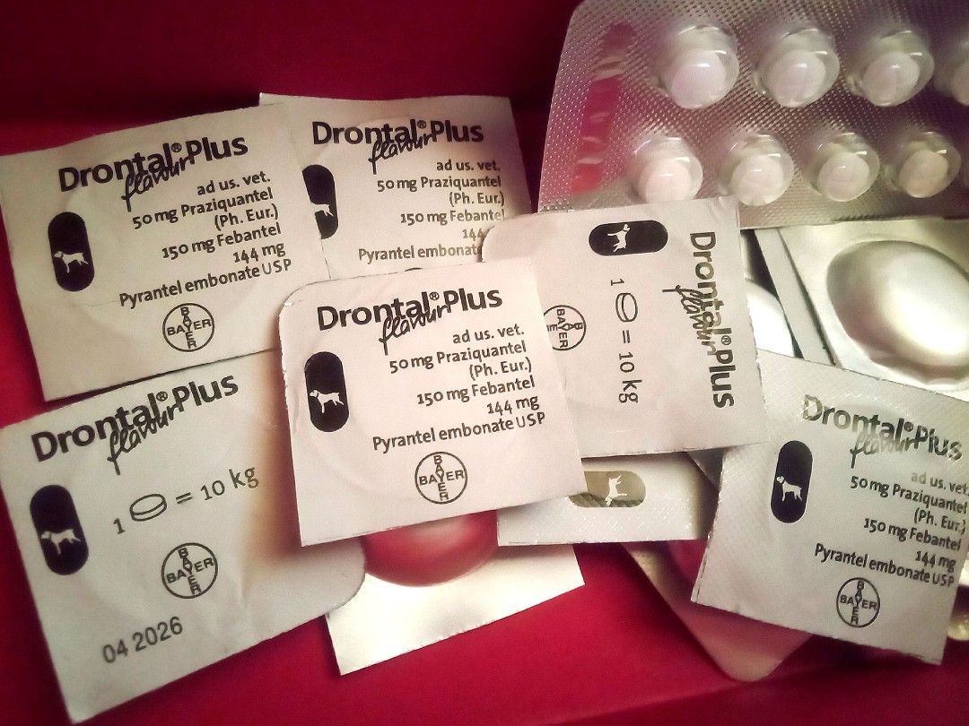 Drontal Plus flavor Dog dewormer, Pet Supplies, Health & Grooming on