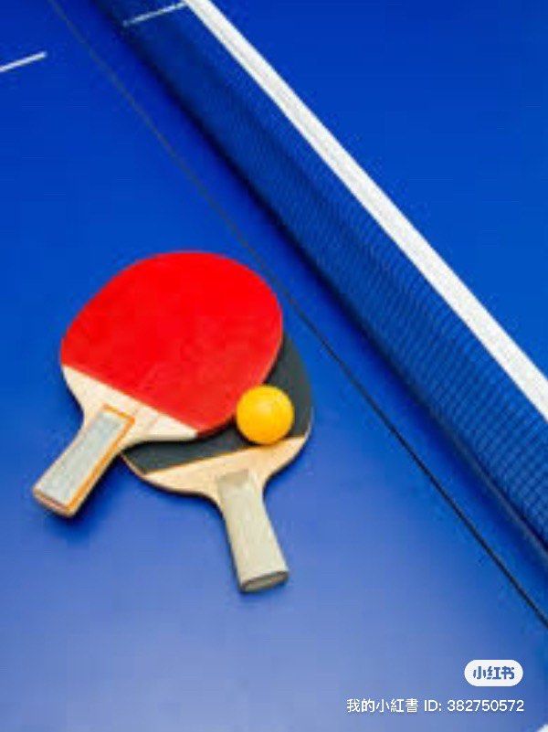 Female Table Tennis Coaching, Sports Equipment, Sports & Games, Racket