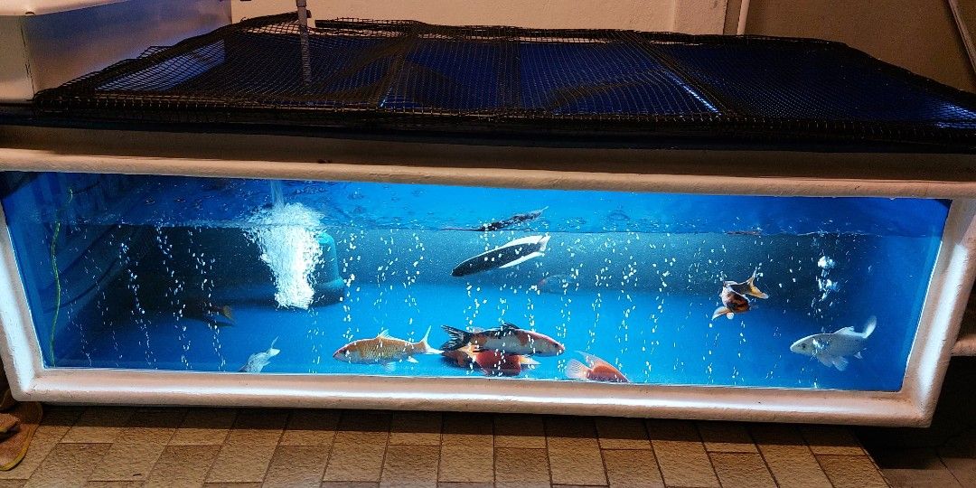 Fibre fish hotsell tank for sale