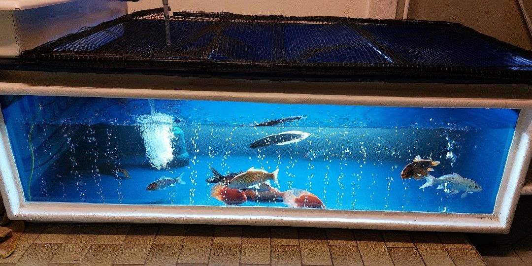 Fiber 2025 fish tank