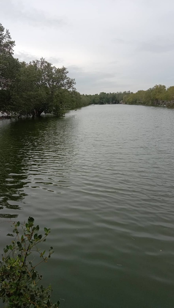 First Class Fishpond for Sale, complete with Title TCTs Located at