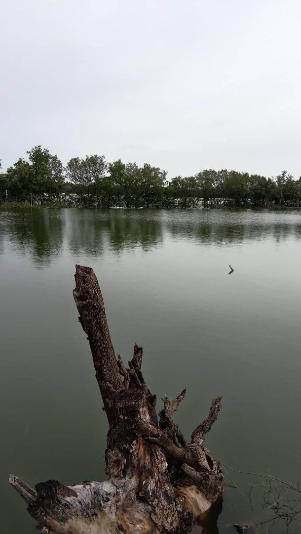 First Class Fishpond for Sale, complete with Title TCTs Located at