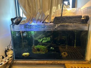 （分類：）位於 。 由 ruby.aa 提交（商品編號 1218967125，圖片 1）。簡介： 。