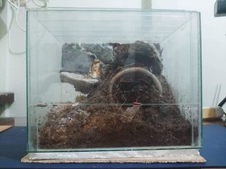 Inverts Enclosure/Glass Aquarium