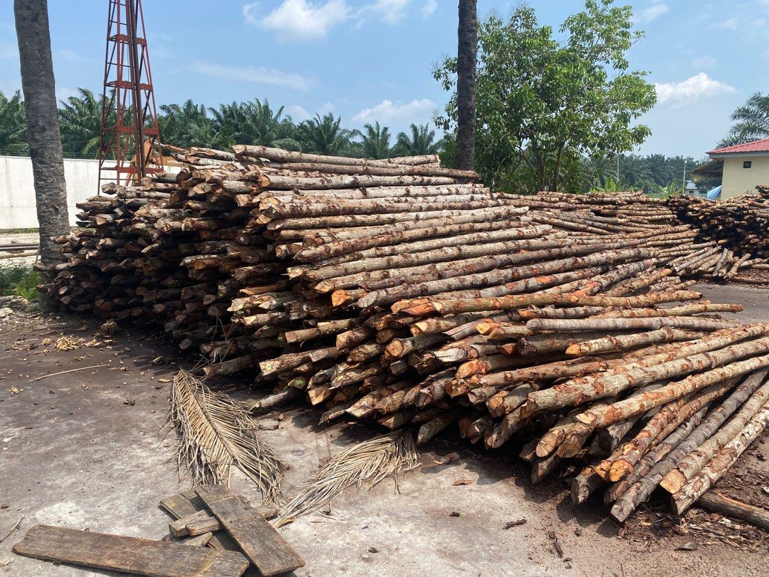 Kayu Api Bakau Firewood Mangrove Services Others On Carousell 0502