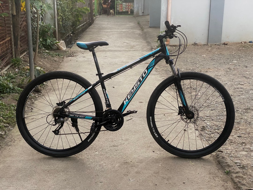 Mountain Bike Keysto Extreme 29er For Sale Sports Equipment