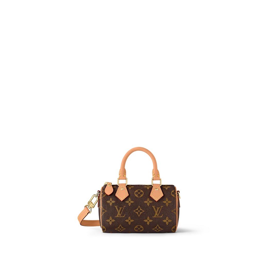 LV speedy size 25, Luxury, Bags & Wallets on Carousell