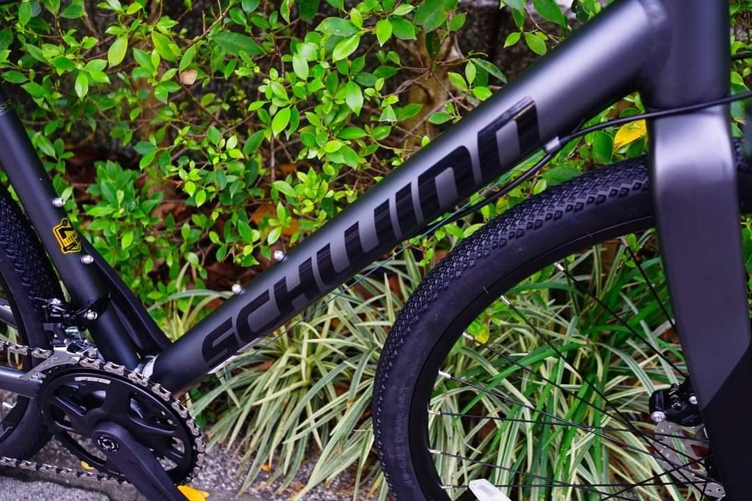 Schwinn sales vantage rx2