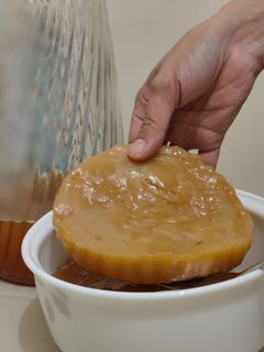 Scoby with Starter Tea