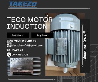 Teco Induction Motor