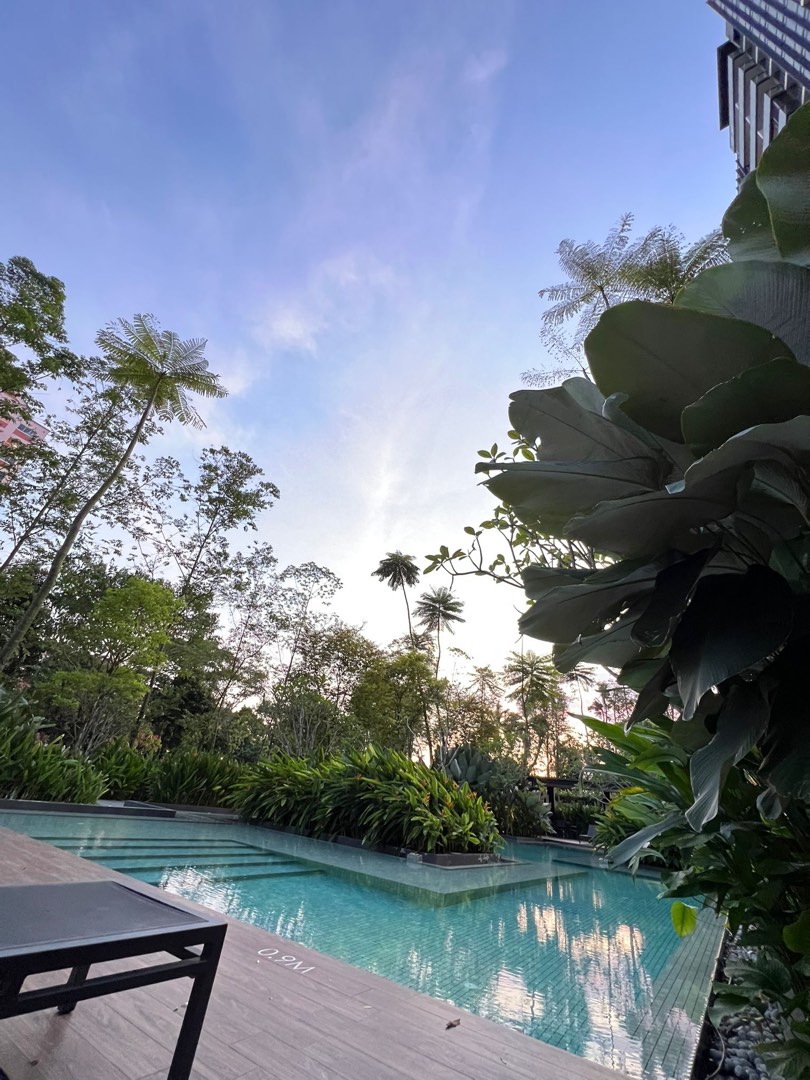 Thomson Impressions, Property, Rentals, Room Rentals on Carousell