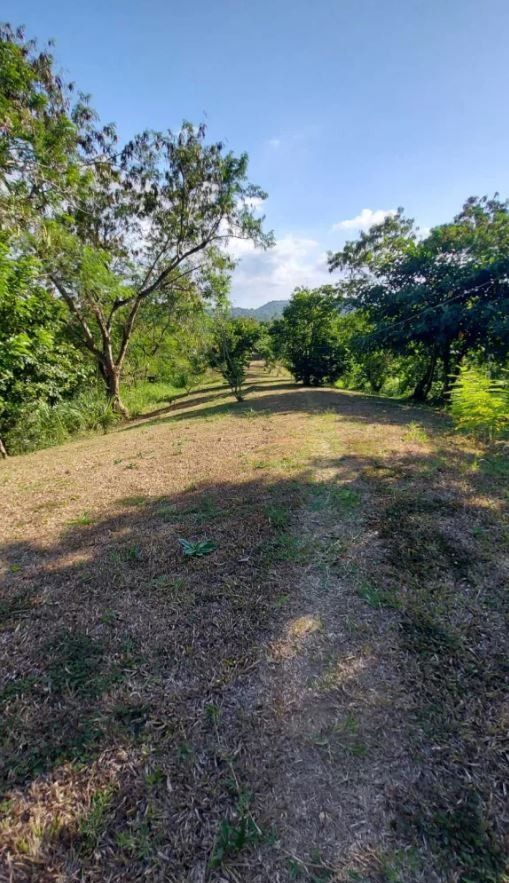 Vacant Lot for Sale in Tagaytay with Overlooking Taal Lake!, Property