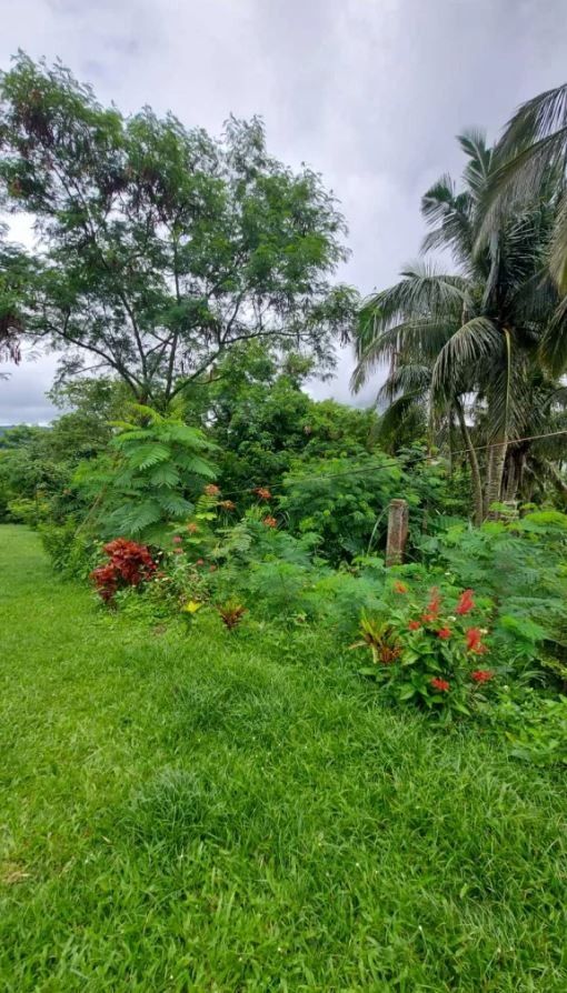 Vacant Lot for Sale in Tagaytay with Overlooking Taal Lake!, Property