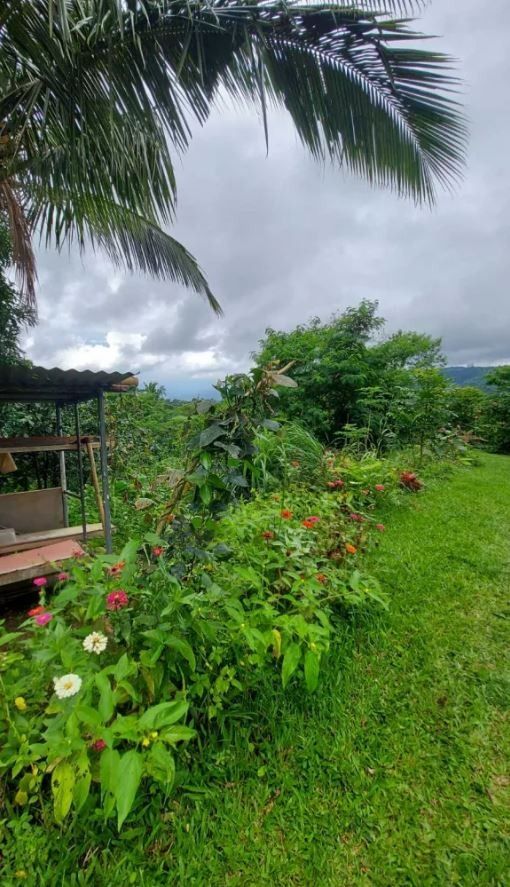 Vacant Lot for Sale in Tagaytay with Overlooking Taal Lake!, Property