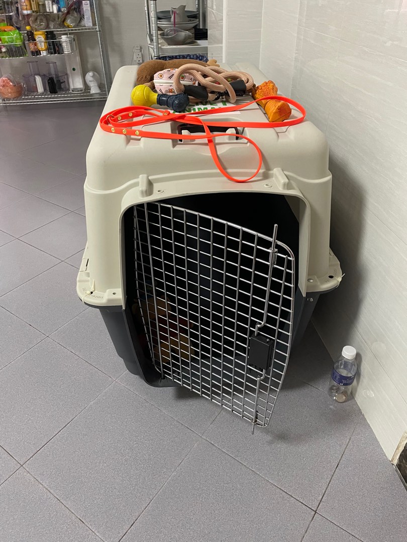 XL Dog Crate/Kennel, Pet Supplies, Homes & Other Pet Accessories on